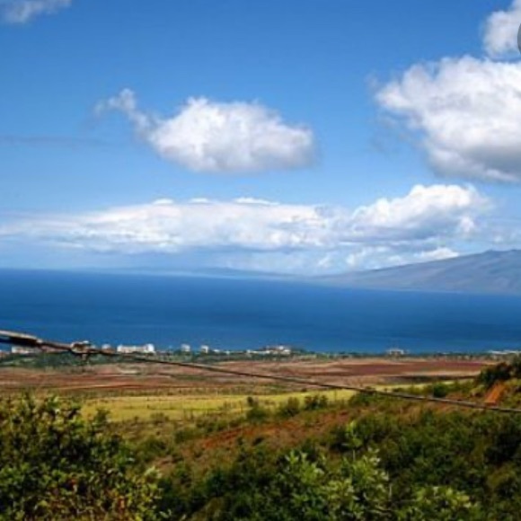 Meet your Posher, Criselda - Picture 1 of 2